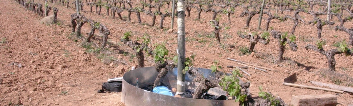 Suelos y Aguas Suelos y Aguas