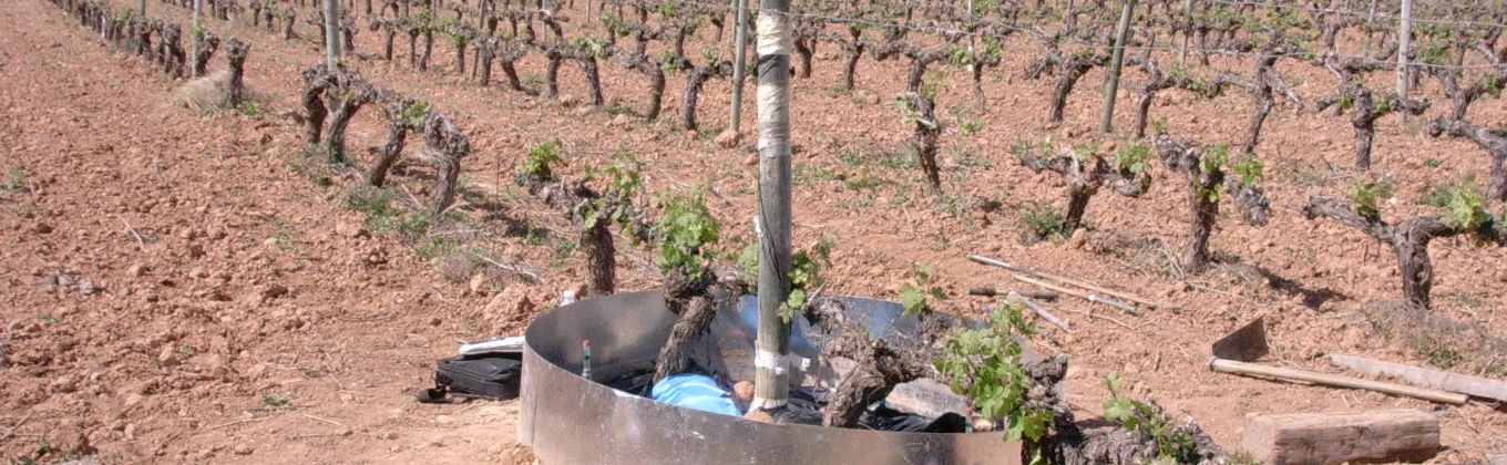 Soil and Water Research Group Soil and Water Research Group