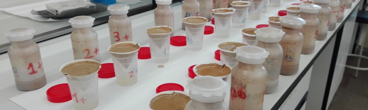 Anàlisis de sòls, aigües, material vegetal i residus orgànics