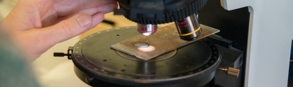 Micromorfologia i Anàlisi d'Imatges